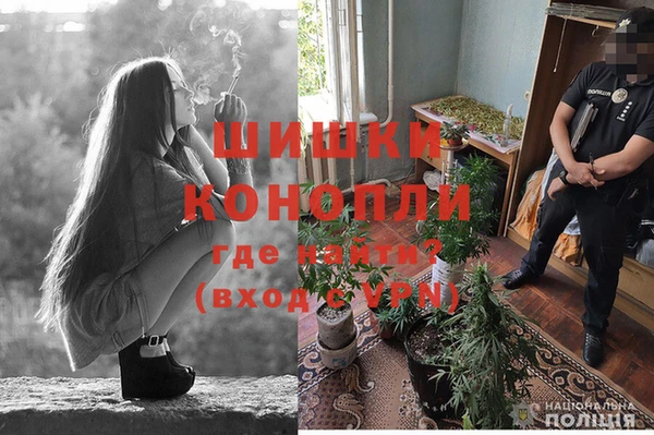 мяу мяу мука Заводоуковск