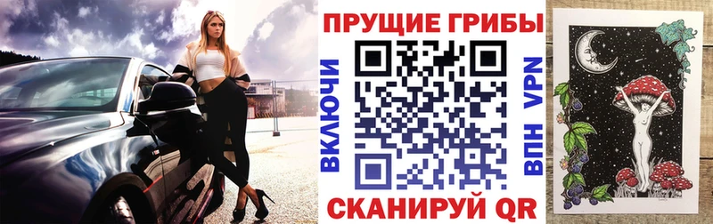 Псилоцибиновые грибы Psilocybine cubensis  Купить где  Златоуст 